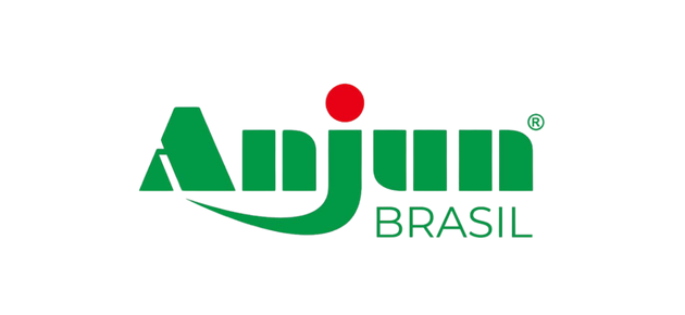 Anjun
